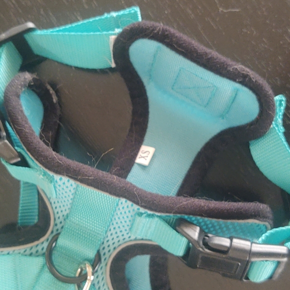 Rabbitgoo animal leash - Picture 5 of 6